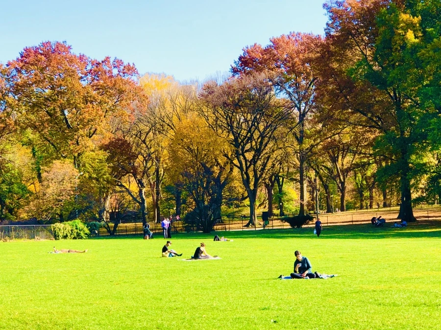 IMG_4327.jpg?type=w966