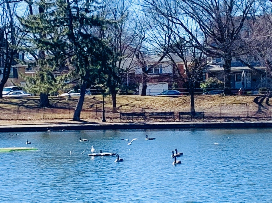 IMG_7572.jpg?type=w966