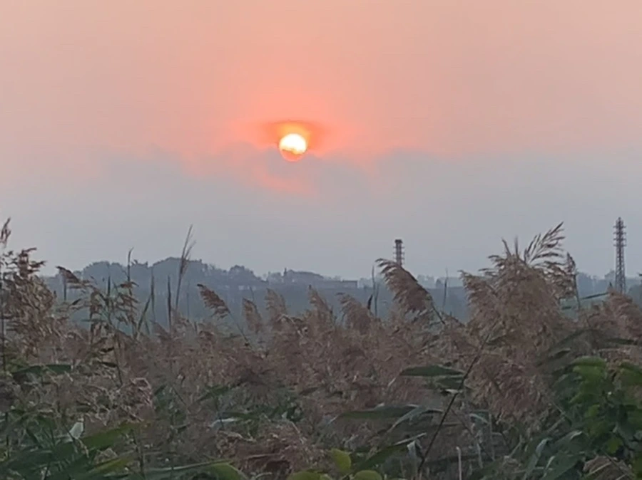 IMG_1126.jpg?type=w966