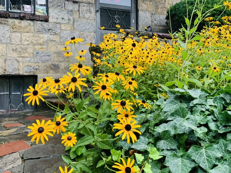 IMG_3666.jpg?type=w966