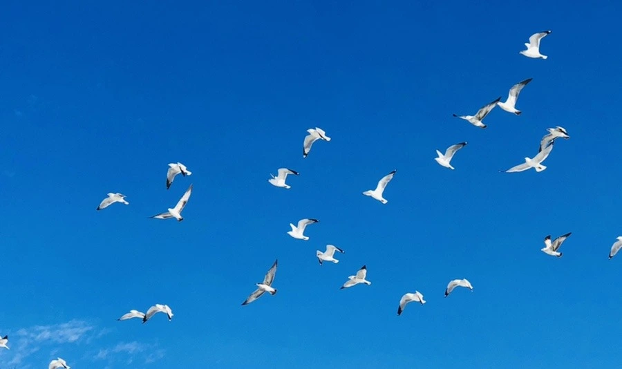 S7twTz9uTcGuFRCO3iqZFwdoo6U