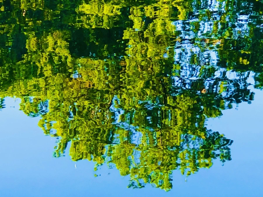 IMG_2624.jpg?type=w966