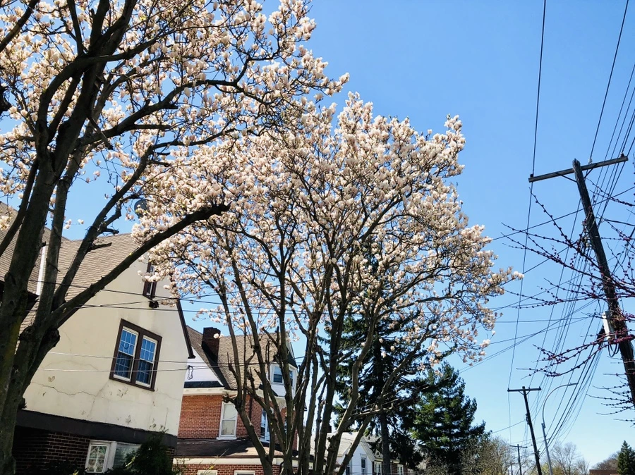 IMG_3026.jpg?type=w966