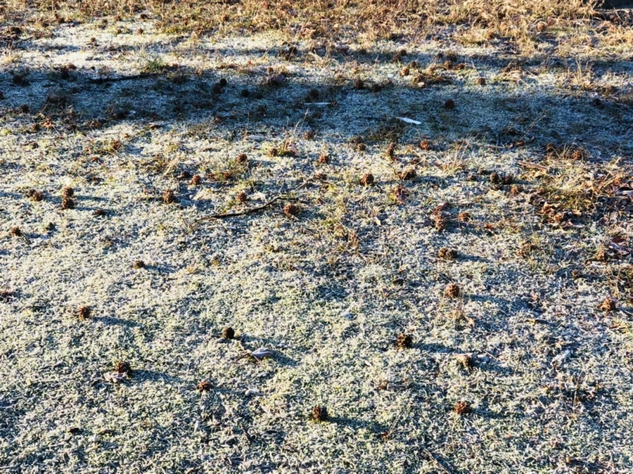 IMG_2222.jpg?type=w966