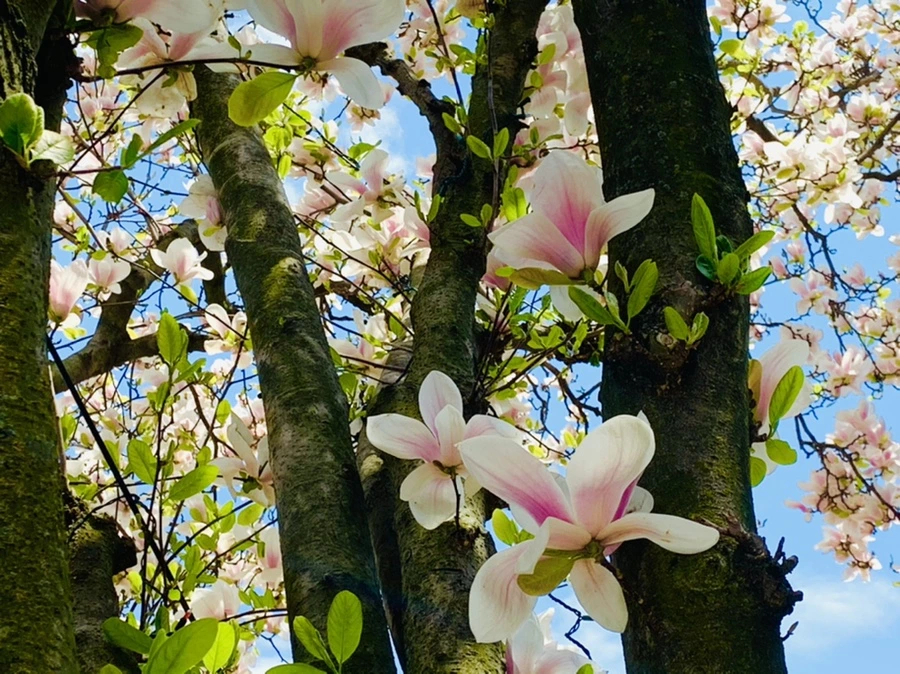 IMG_3884.jpg?type=w966