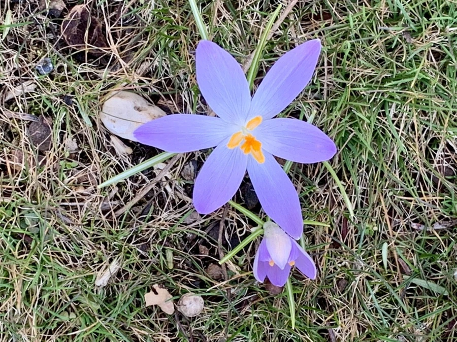 IMG_9217.jpg?type=w966