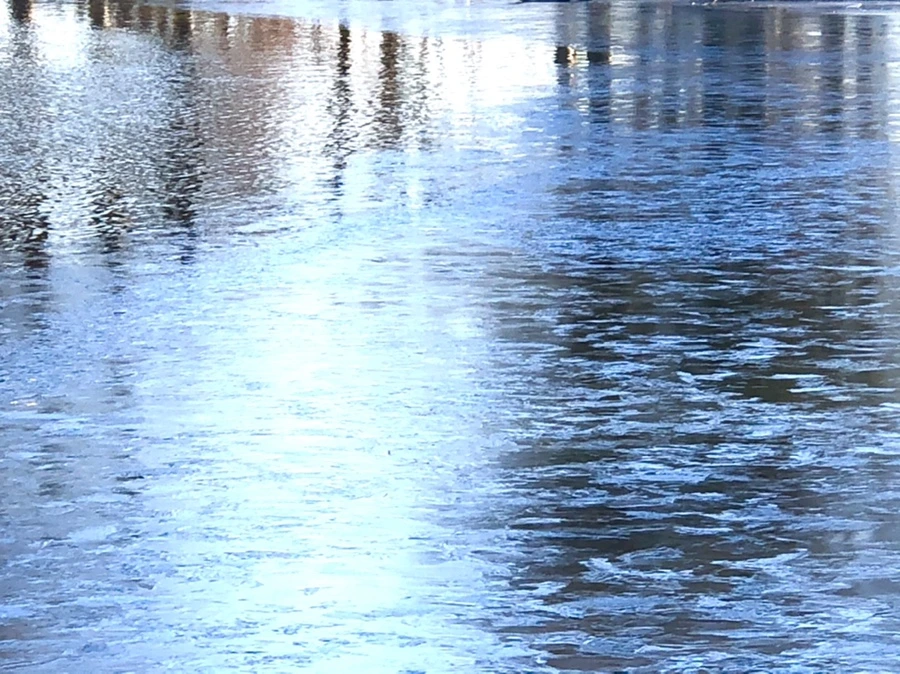 IMG_1426.jpg?type=w966