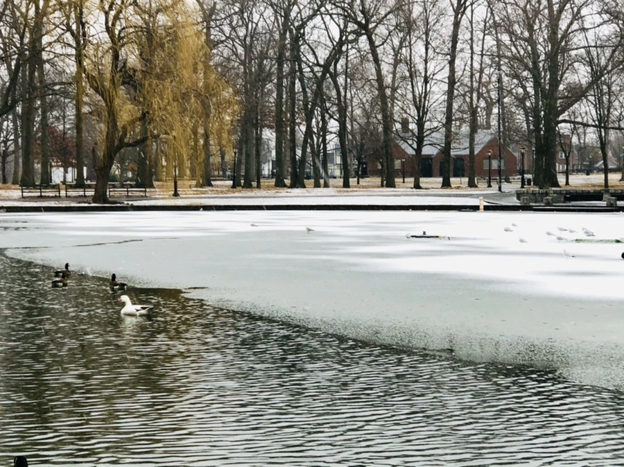 IMG_6104.jpg?type=w966