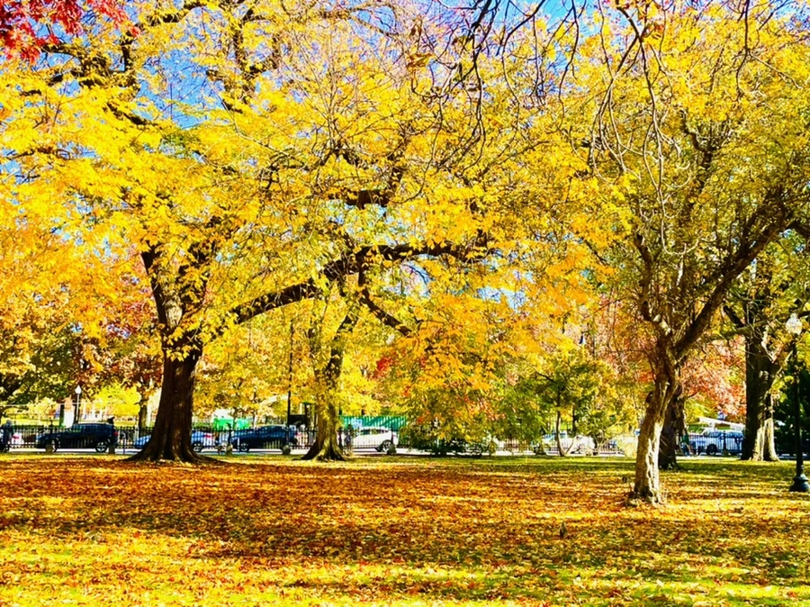 IMG_2577.jpg?type=w966