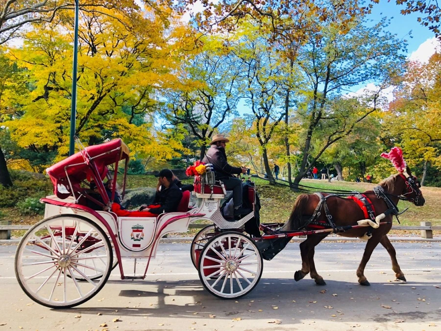 IMG_7317.jpg?type=w966