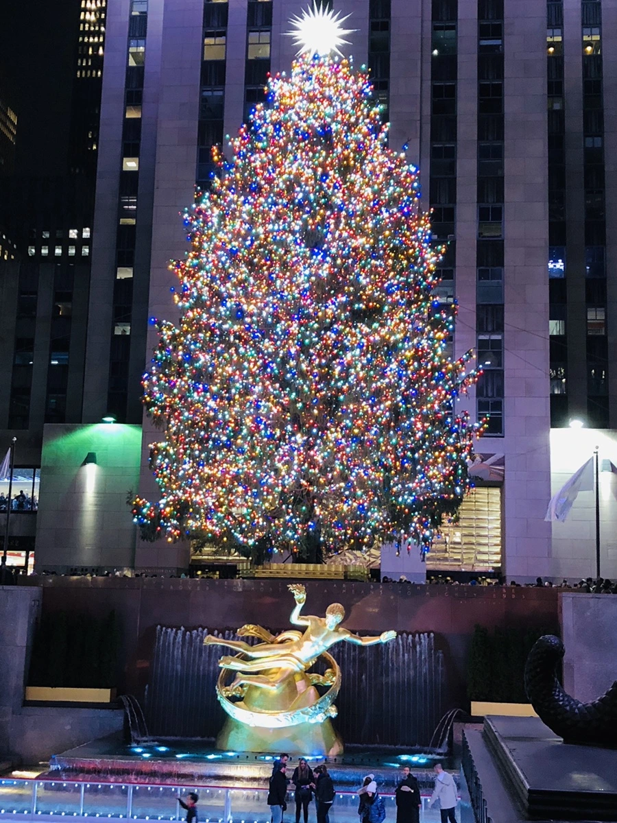 IMG_8166.jpg?type=w966