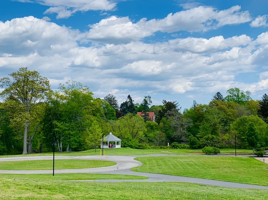 IMG_2341.jpg?type=w966