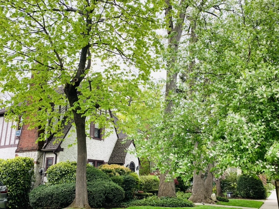 IMG_6109.jpg?type=w966