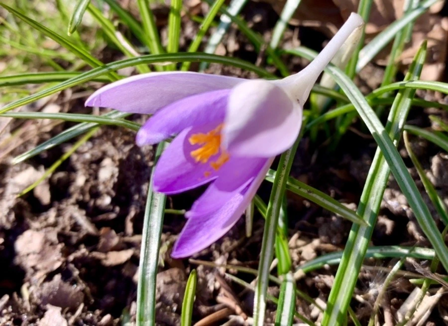 nK9RWL8ojcLgC2rzDsbV1dKzn0M