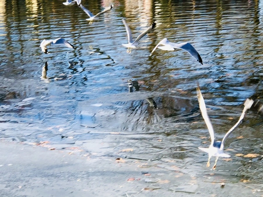 Ua9beYkaT0WkH4P1aOXB0_Divnk