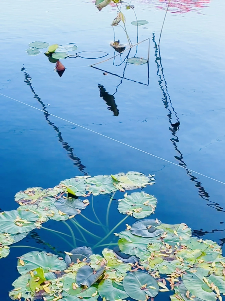 IMG_2046.jpg?type=w966