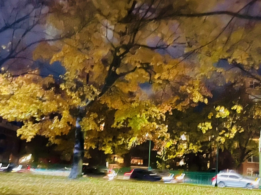 IMG_2836.jpg?type=w966