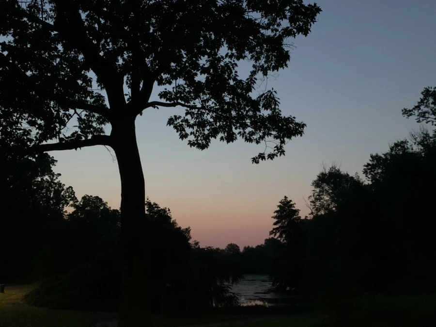 IMG_1798.jpg?type=w966