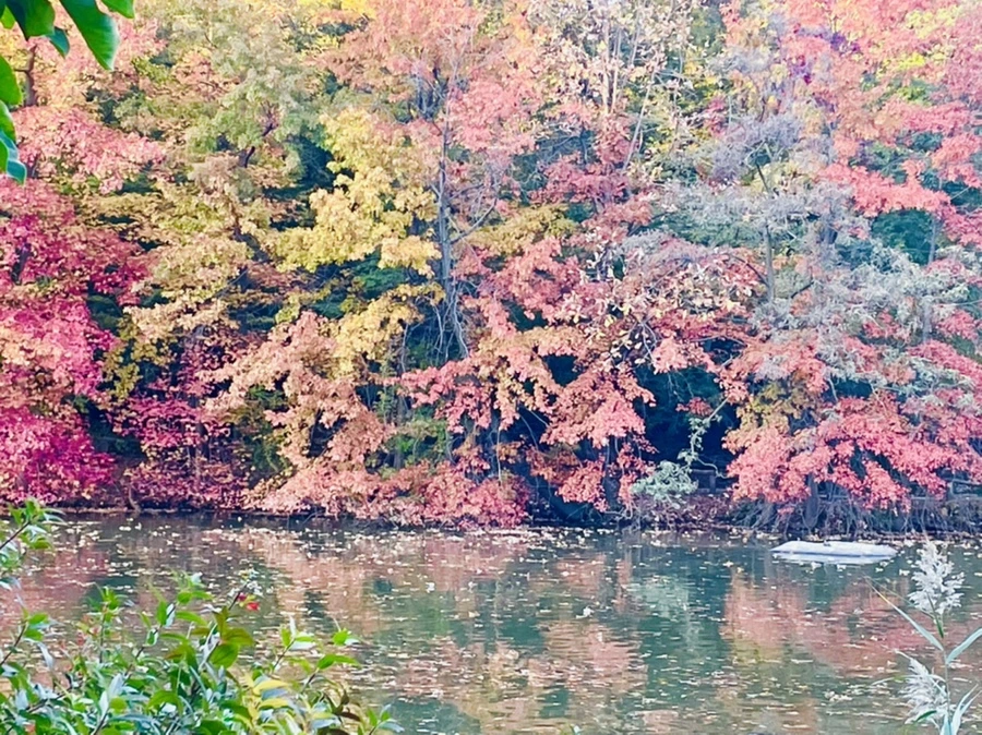 IMG_1447.jpg?type=w966