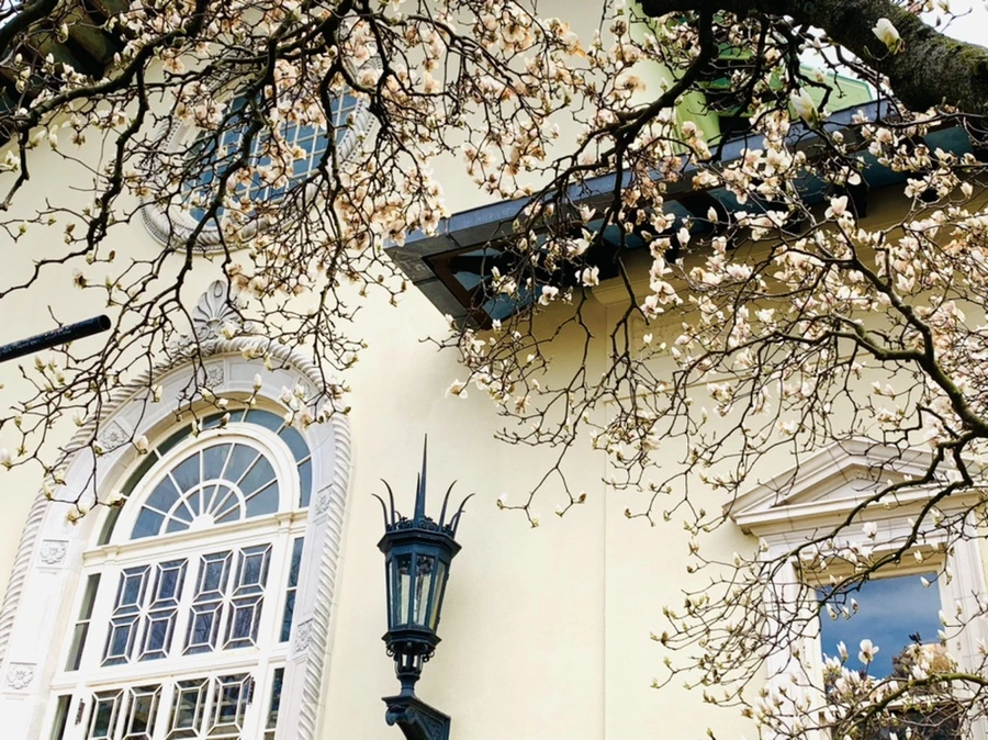 IMG_7218.jpg?type=w966