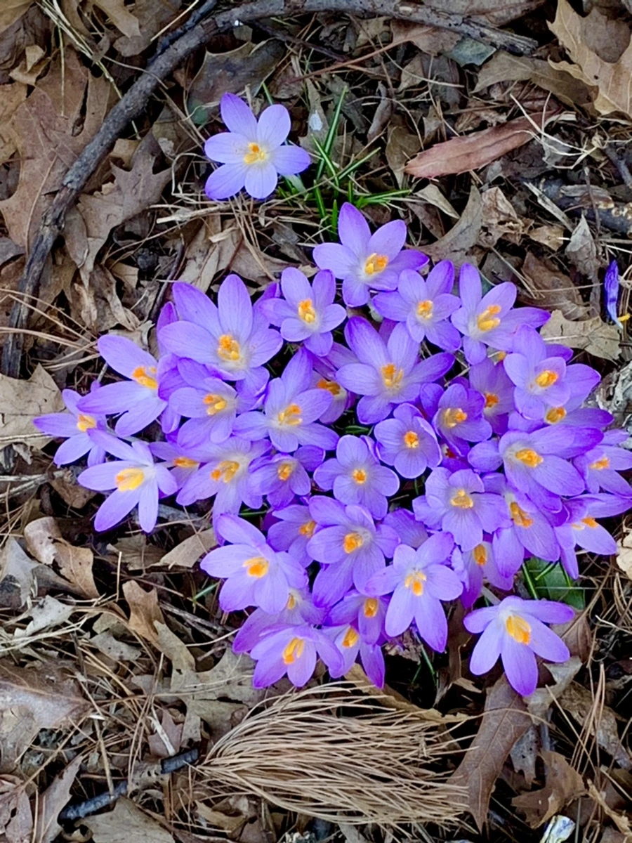 IMG_9774.jpg?type=w966