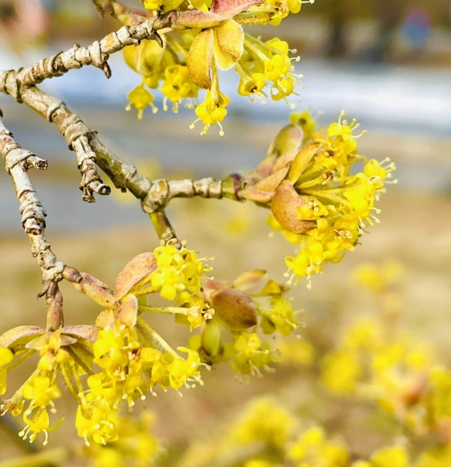 IMG_5930.jpg?type=w966