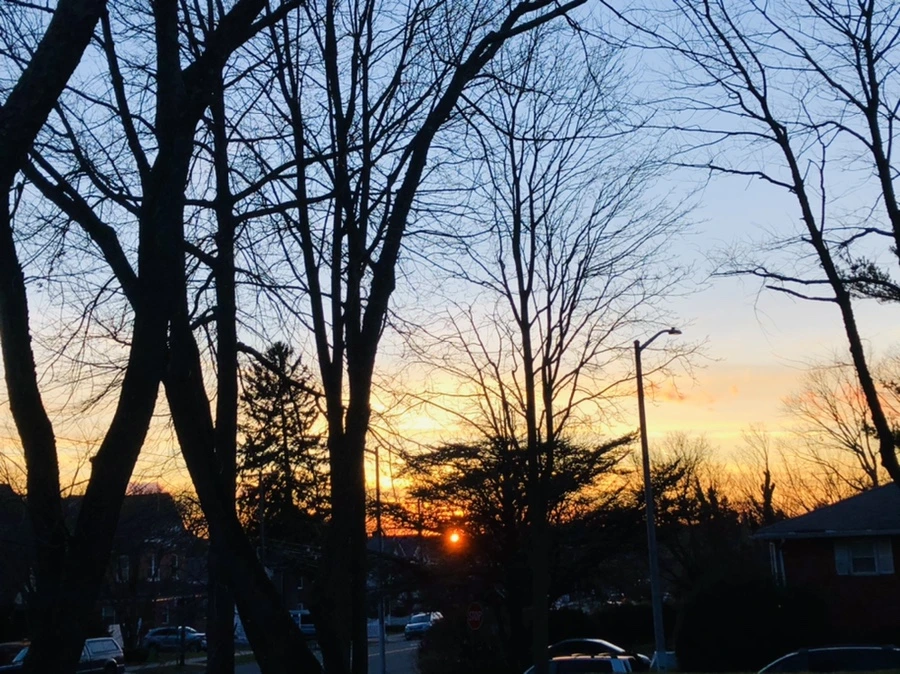 IMG_4599.jpg?type=w966