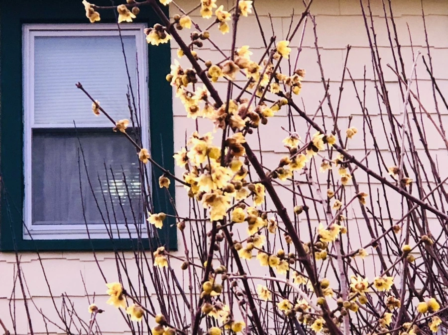 IMG_8237.jpg?type=w966