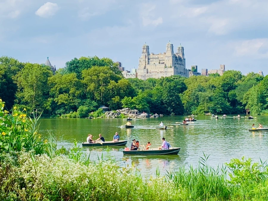 IMG_0668.jpg?type=w966