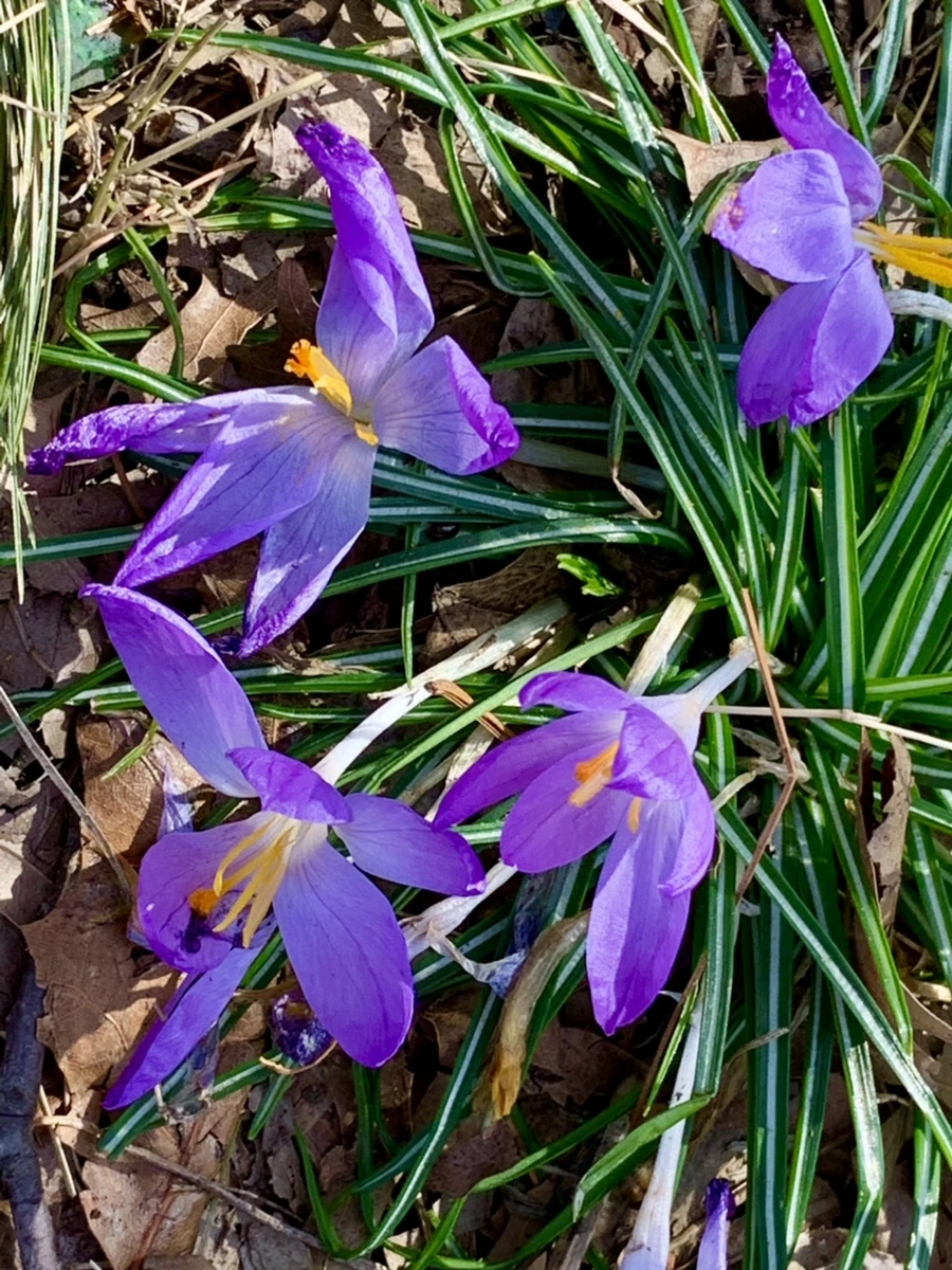 IMG_4551.jpg?type=w966