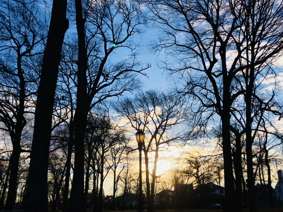 IMG_4900.jpg?type=w966