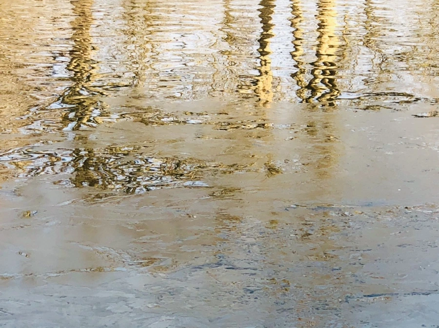 IMG_0177.jpg?type=w966