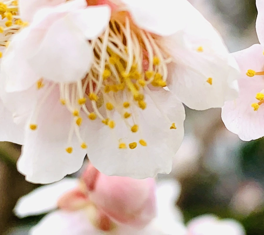 IMG_1700.jpg?type=w966