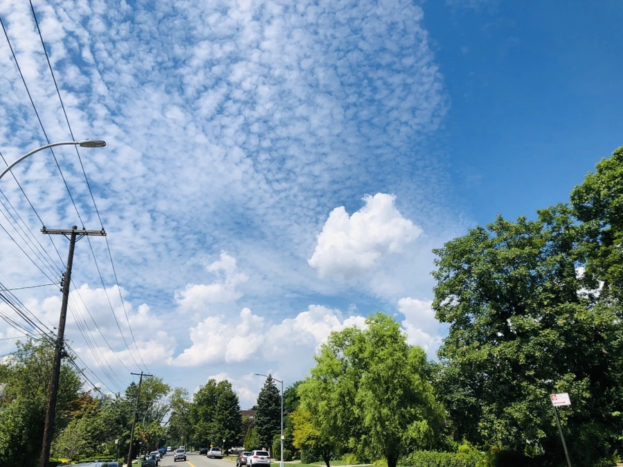 IMG_5248.jpg?type=w966