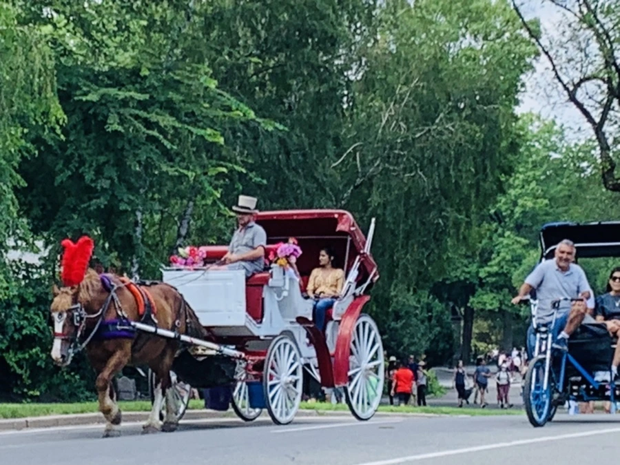 IMG_0570.jpg?type=w966