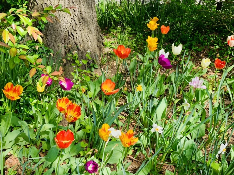 IMG_6862.jpg?type=w966