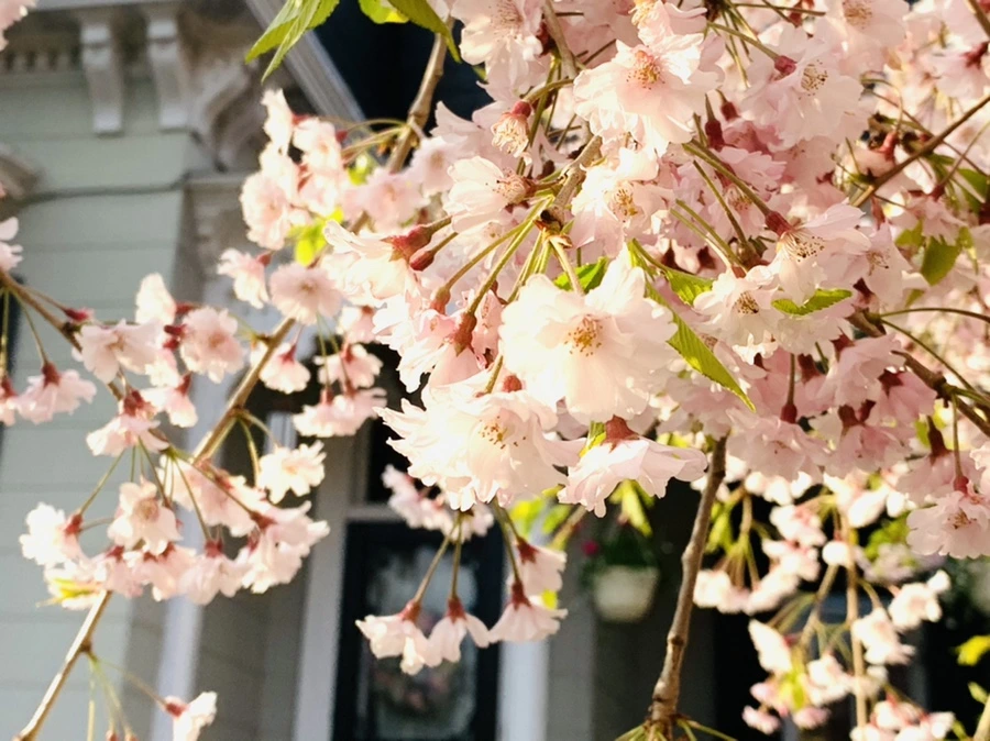 IMG_3669.jpg?type=w966