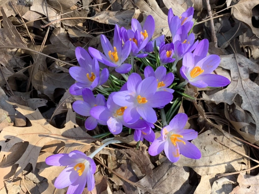 IMG_9695.jpg?type=w966