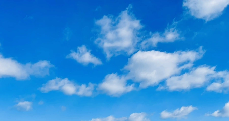 IMG_7669.jpg?type=w966