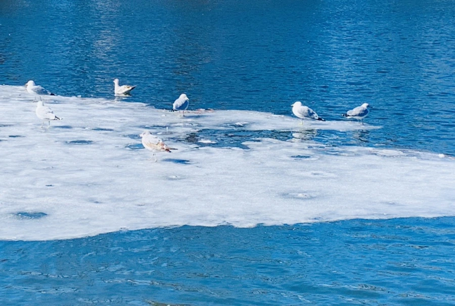 IMG_6767.jpg?type=w966