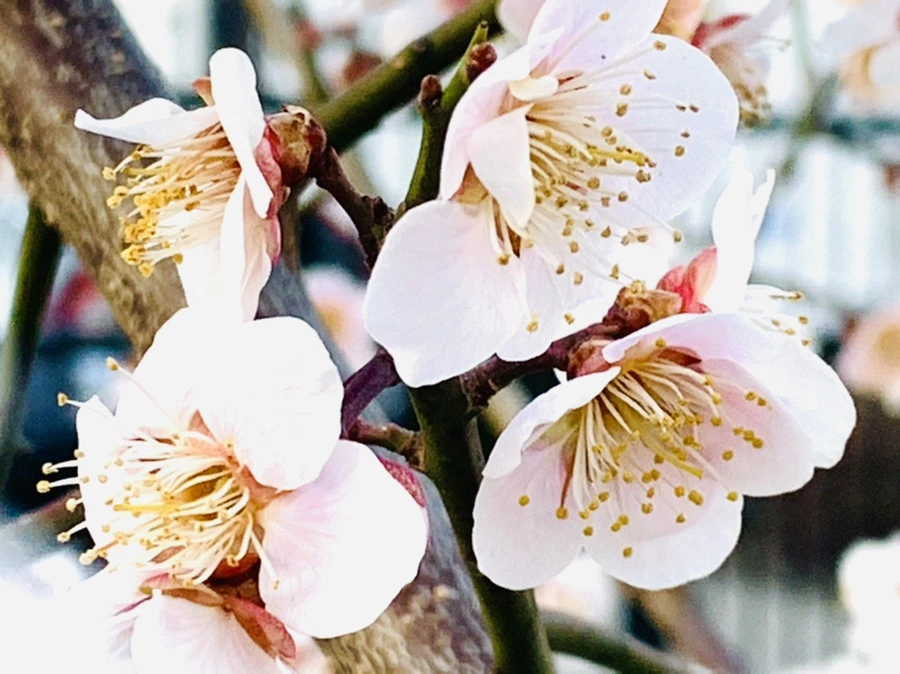 IMG_2287.jpg?type=w966