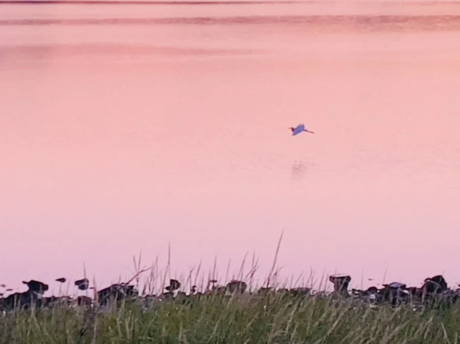 IMG_7105.jpg?type=w966