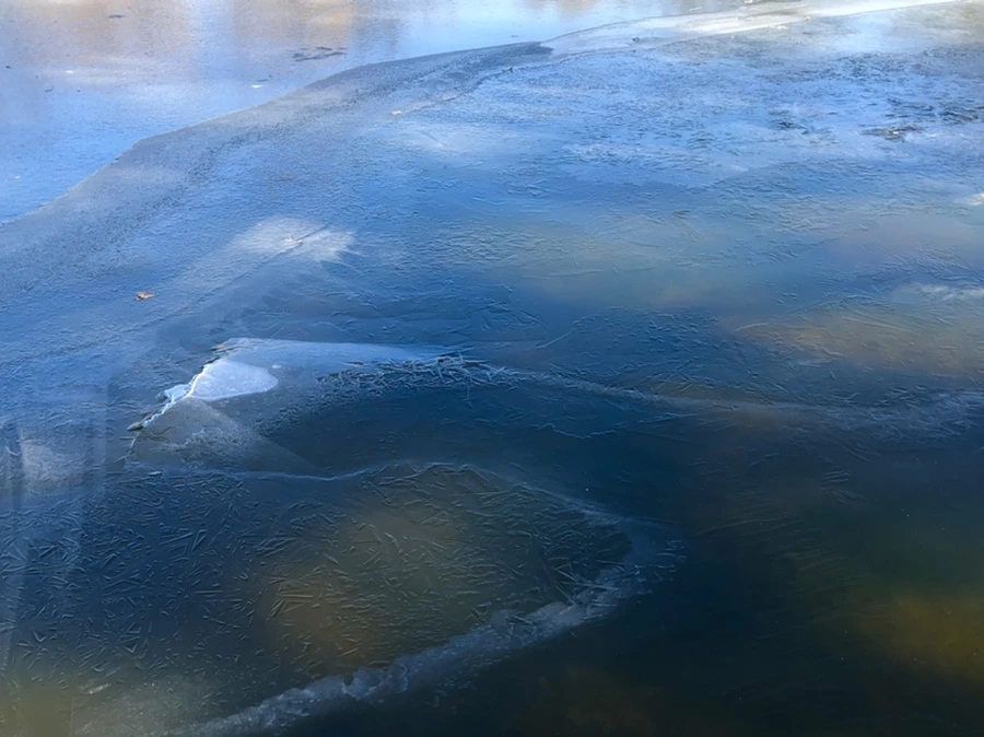 IMG_7905.jpg?type=w966