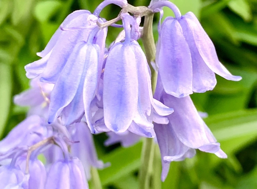 IMG_9078.jpg?type=w966