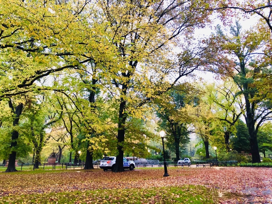 IMG_3123.jpg?type=w966