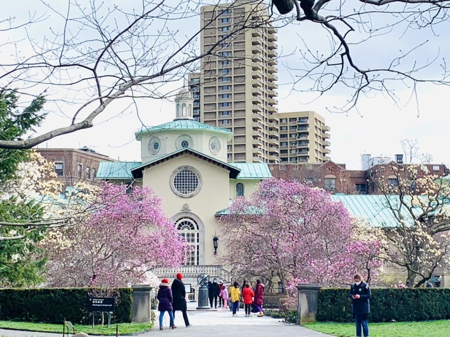 IMG_6549.jpg?type=w966