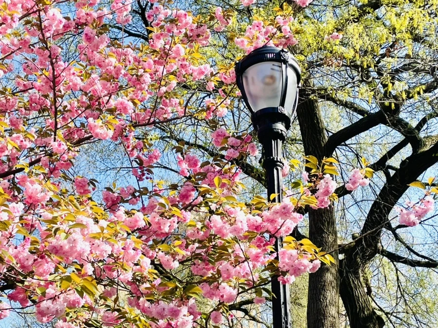 IMG_2357.jpg?type=w966