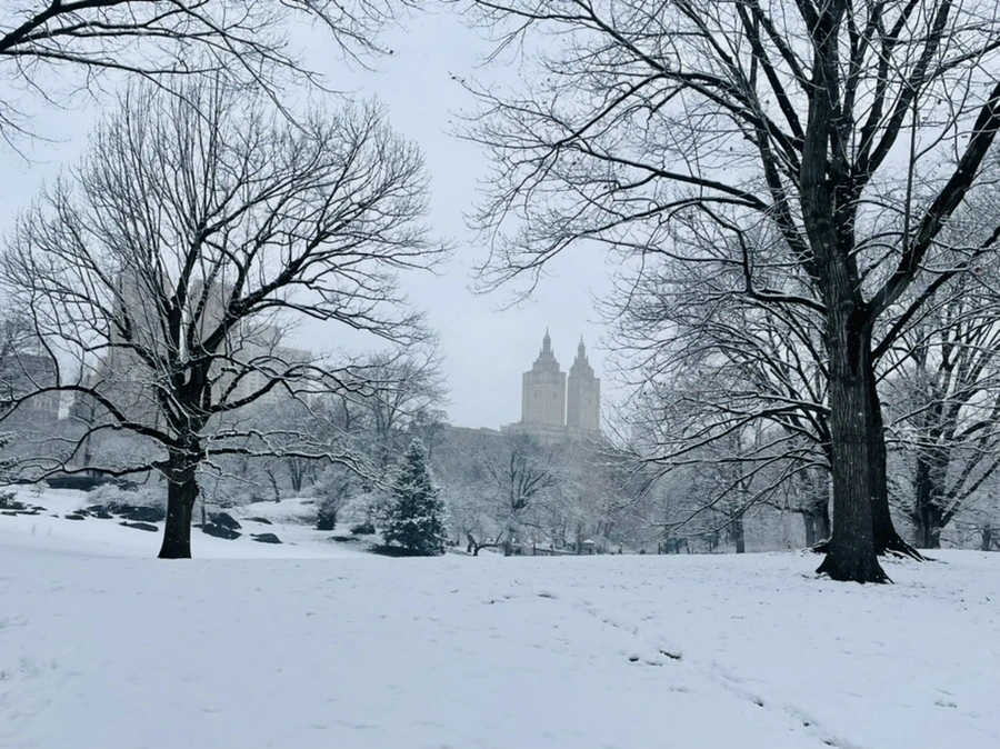 IMG_2162.jpg?type=w966