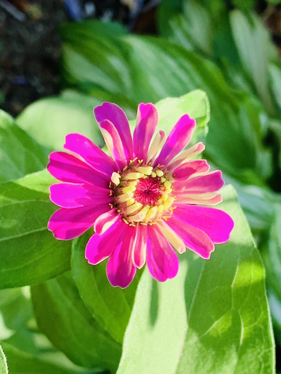 IMG_8725.jpg?type=w966