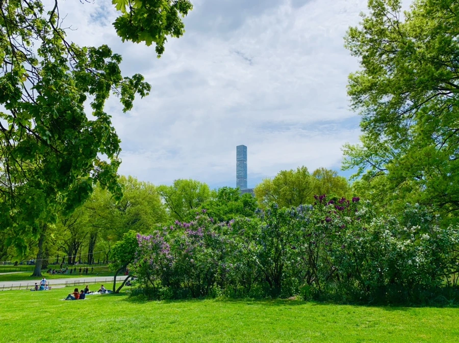 IMG_8801.jpg?type=w966